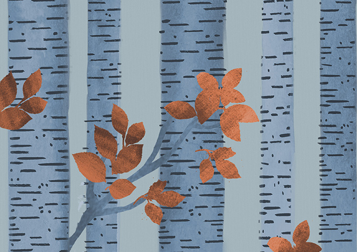 Birch Tree Velvet, Autumn - Roman Blind - Image 7